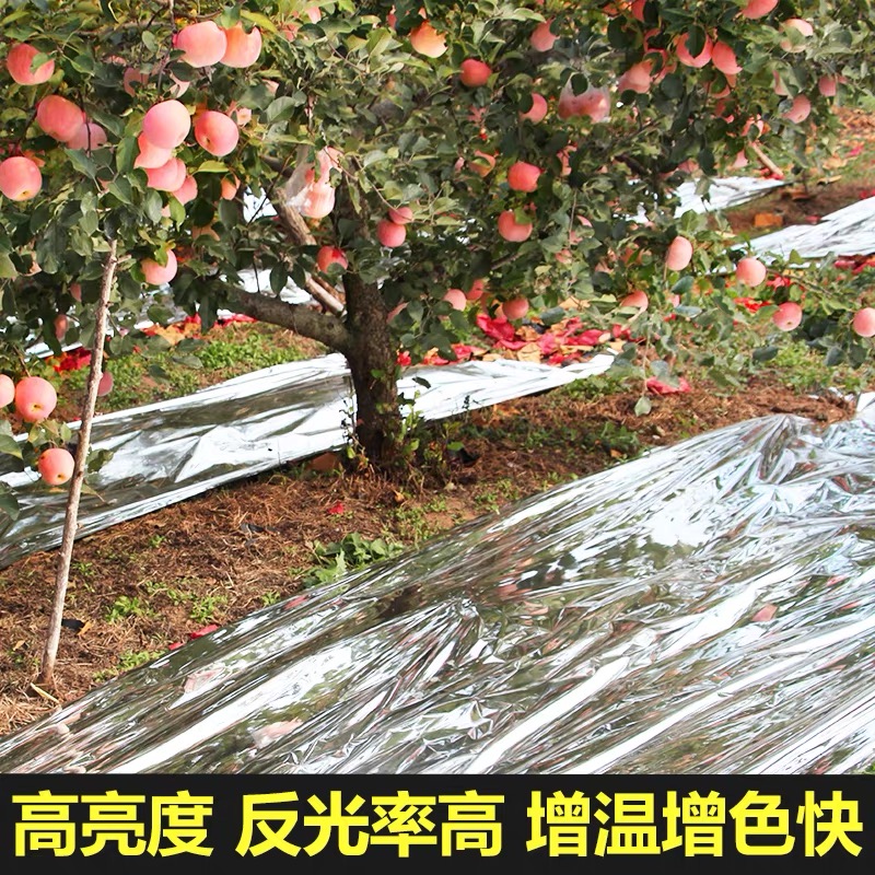 新乡市农用薄膜果树反光膜 - 方案